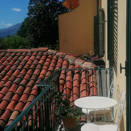 Lavanda * Vigliano Biellese