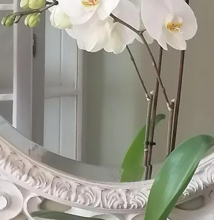 Lavanda Séjour à la ferme *